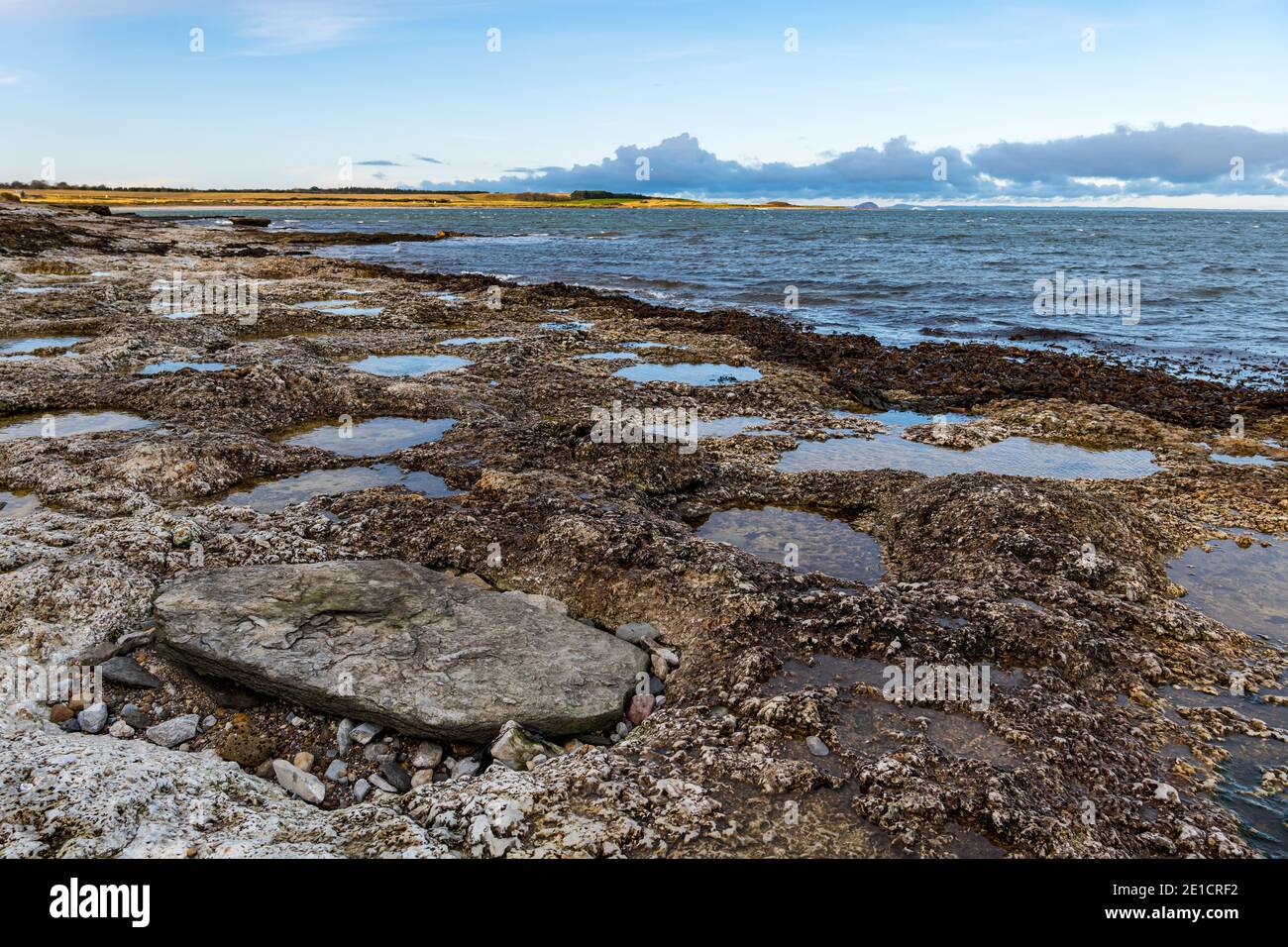 Circular holes in limestone rock created during sedimentary action in