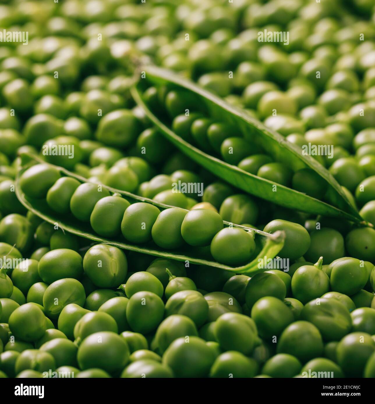 Fresh green peas for background, texture. Annual plant, opened pods and peeled vegetables, healthy food with vitamins, nutrition, proper for vegetaria Stock Photo