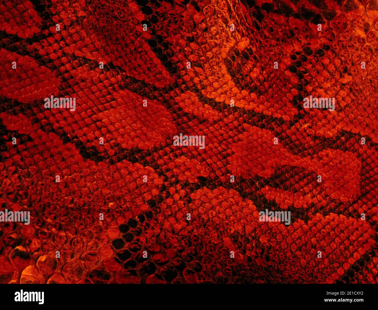 Snakeskin pattern hires stock photography and images Alamy