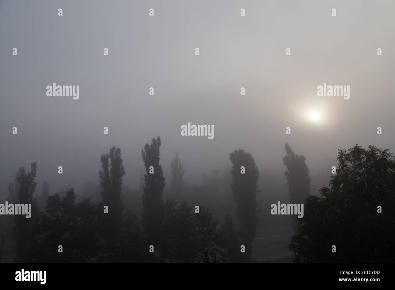 The beautiful landscape in the misty moning. White solar disk breaks through the fog. Stock Photo