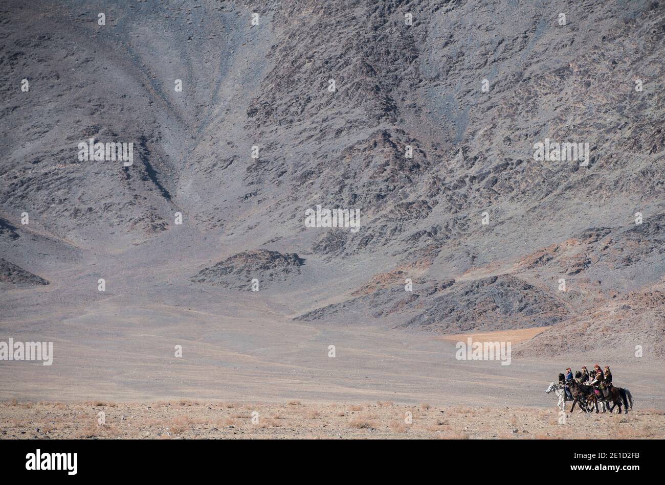 Nomads on horses, Olgiy, Bayan-Olgiy, Mongolia Stock Photo - Alamy