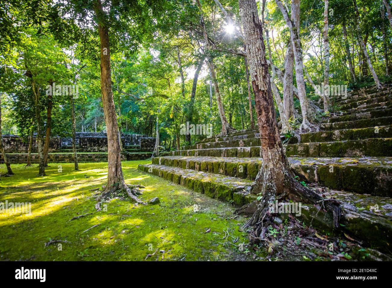 Ancient Mayan pyramids Archaeological Zone Balamku in the middle of the jungle forest Stock Photo