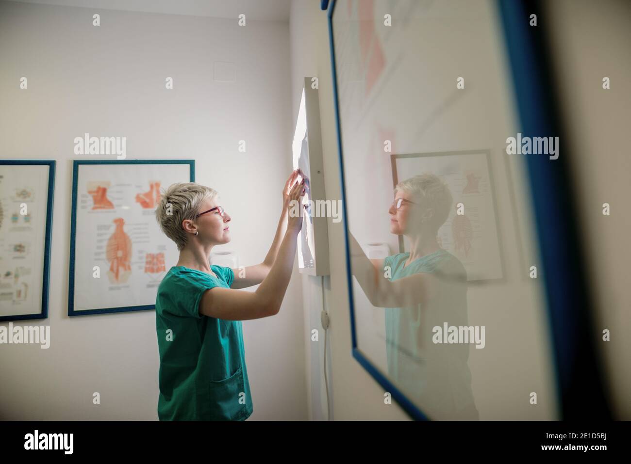 Doctor scrutinize x-ray of patient’s broken bones. Stock Photo