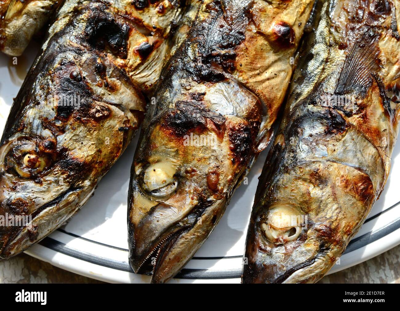 Grilled Mackerel fish on a white plate. Fatty, oily fish is an