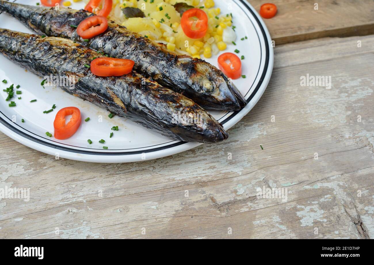 Grilled Mackerel fish on a white plate. Fatty, oily fish is an