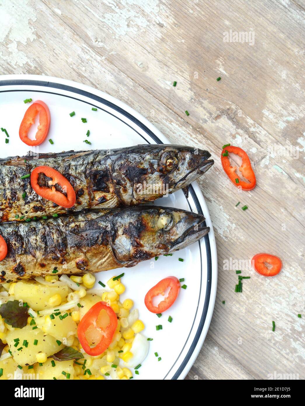 Grilled Mackerel fish on a white plate. Fatty, oily fish is an