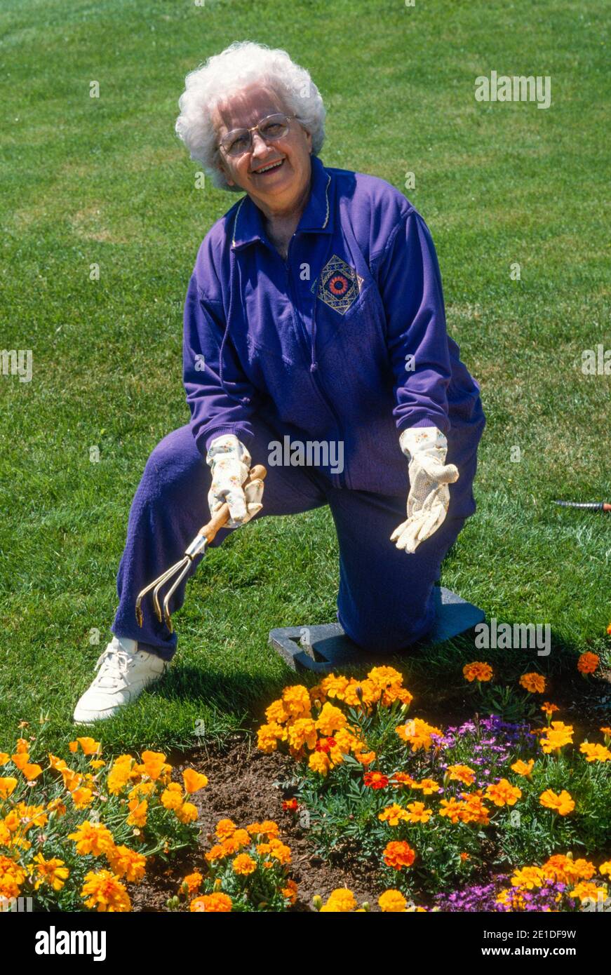 Senior woman enjoys working in her garden, USA Stock Photo - Alamy