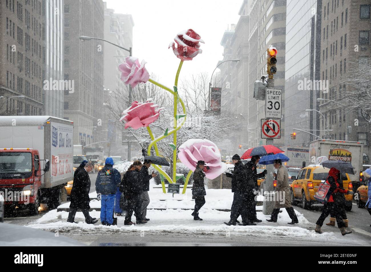 Painted roses 'planted' on Park Avenue between 57th and 67th street are ...