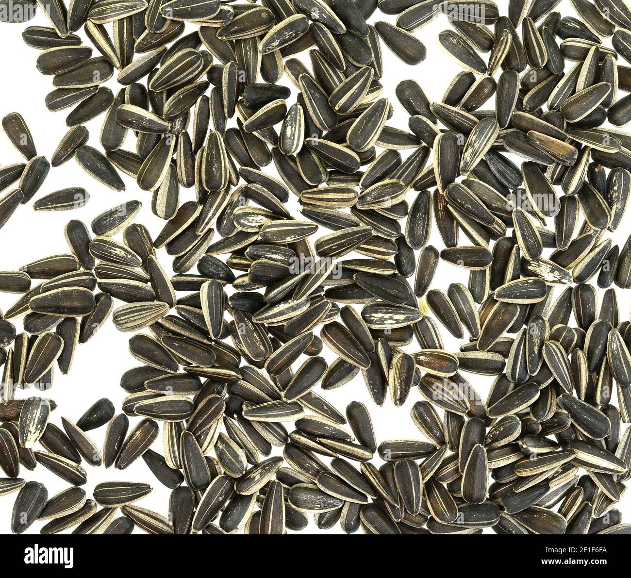 Unpeeled Sunflower seeds isolated on white background Stock Photo - Alamy