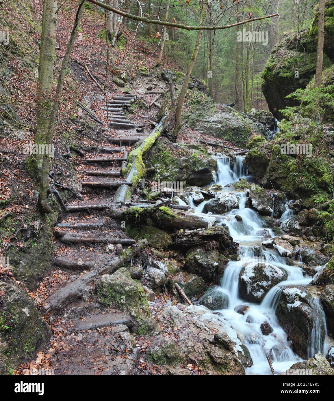 Staired footpath next to a creek in Janosik Canyon (Janosikove diery), near Terchova, Slovakia Stock Photo