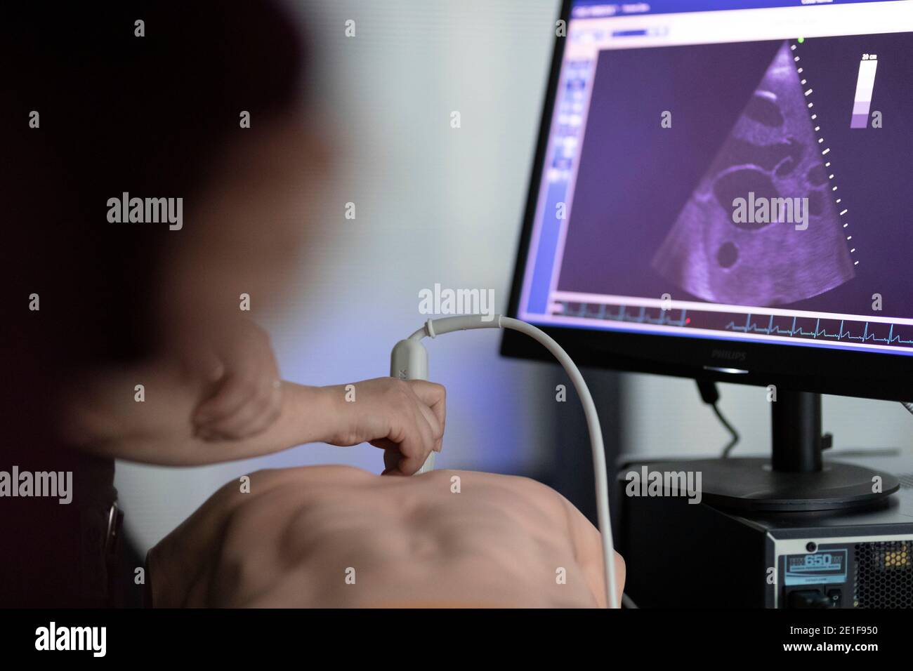 a doctor performs ultrasound on a teaching dummy Stock Photo