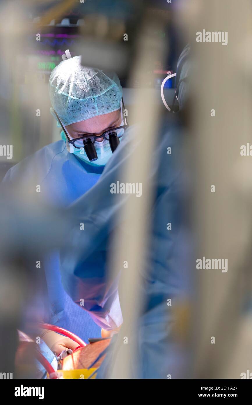 close up view of a heart surgeon wearing his magnifying glasses Stock Photo