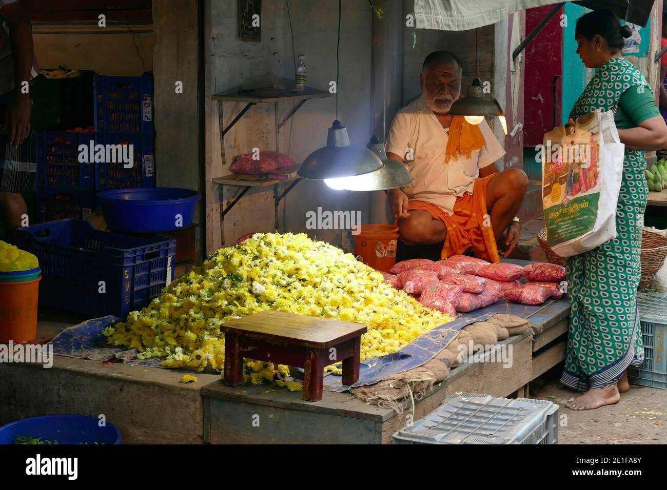 Indian woman in saree chennai hi-res stock photography and images - Alamy