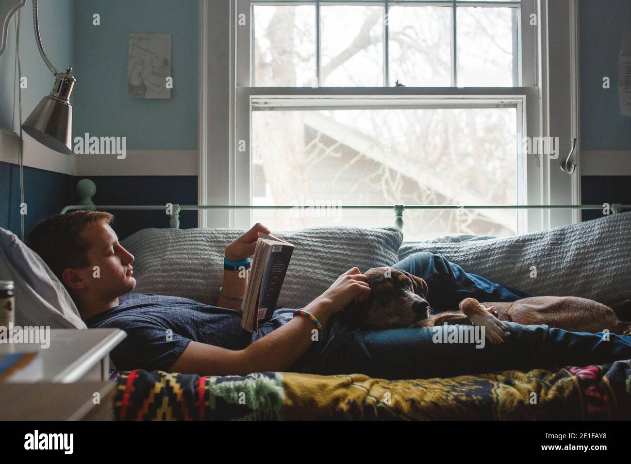 A young man lays on his bed with dog on lap reading by window light Stock Photo