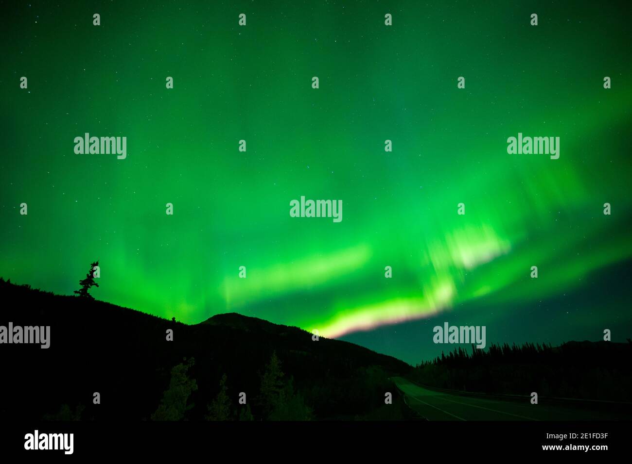 Denali national park and preserve hires stock photography and images