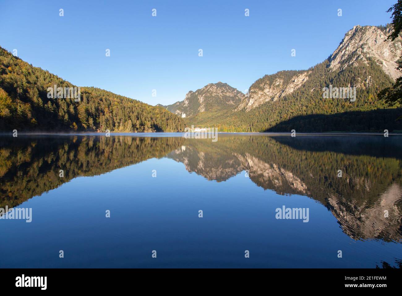 A crystal clear morning by lake Alpsee in Bavaria, Germany Stock Photo -  Alamy