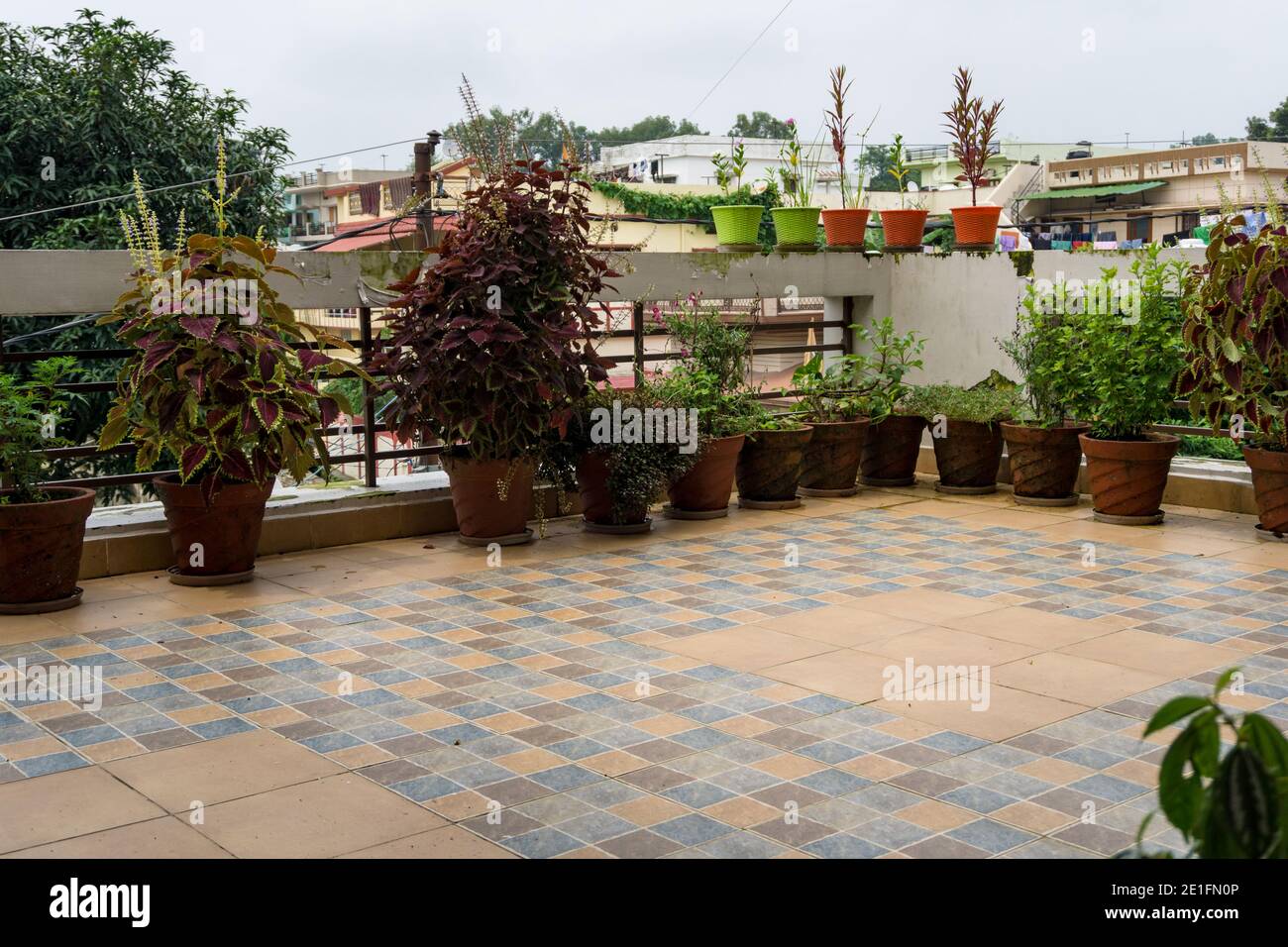 A wide angle shot of a terrace garden with flower pots. A balcony with flower pots. Stock Photo