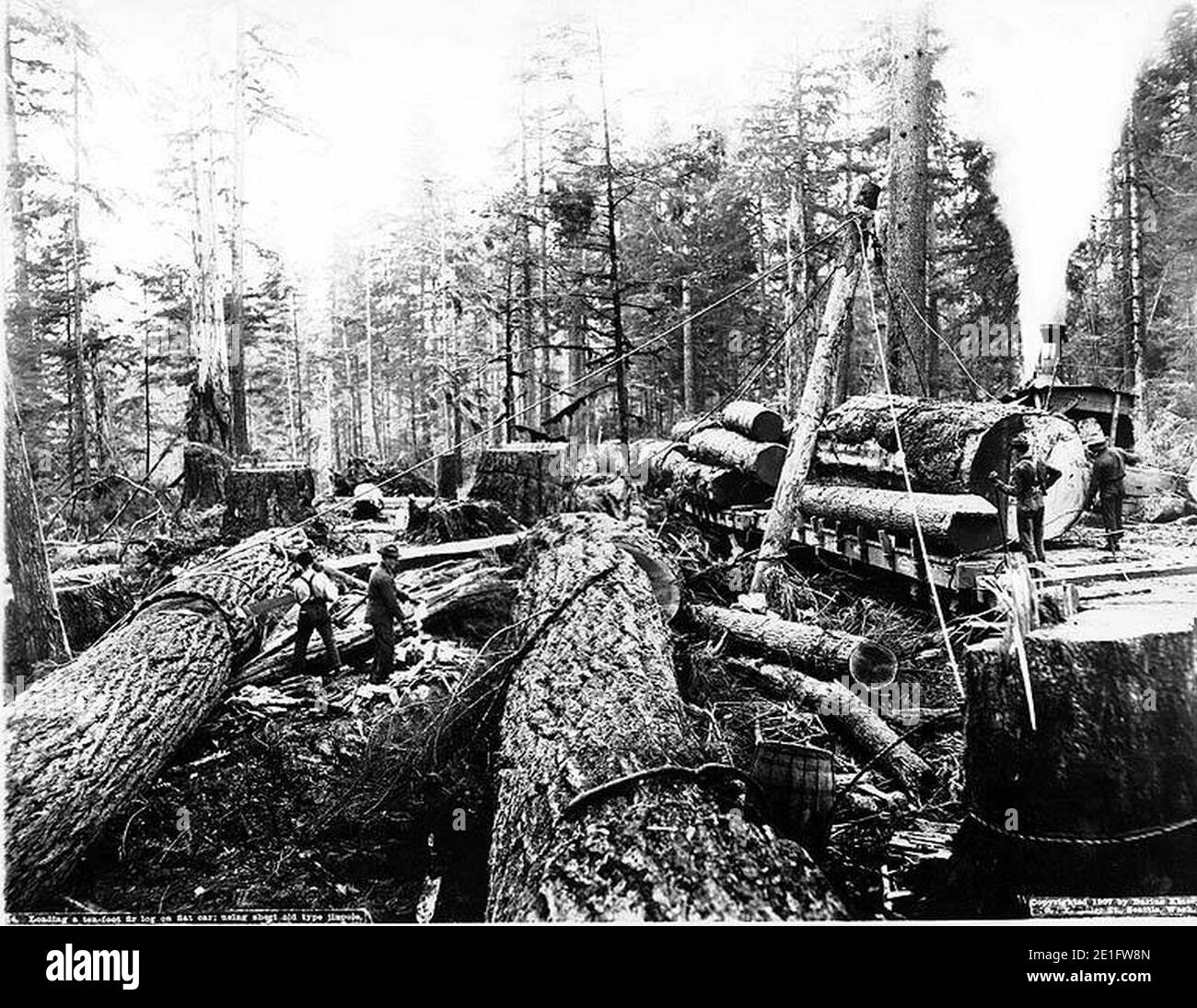 Steam logging in фото 94
