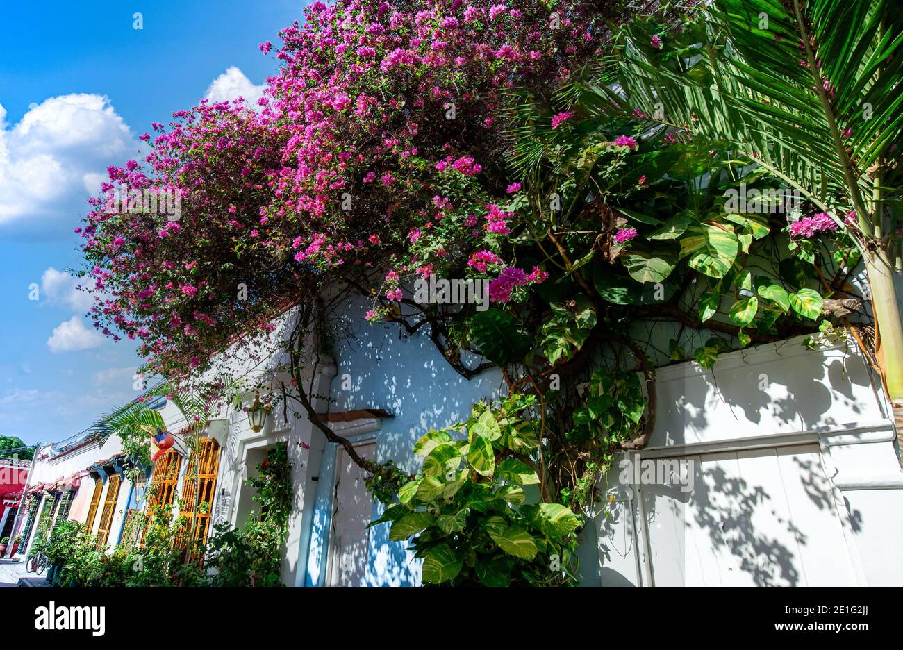 Colombia, Scenic colorful streets of Cartagena in historic Getsemani district near Walled City, Ciudad Amurallada. Stock Photo