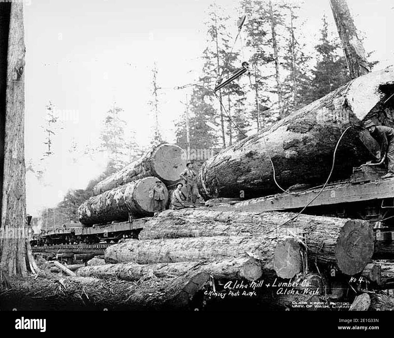 Logging company Black and White Stock Photos & Images - Alamy