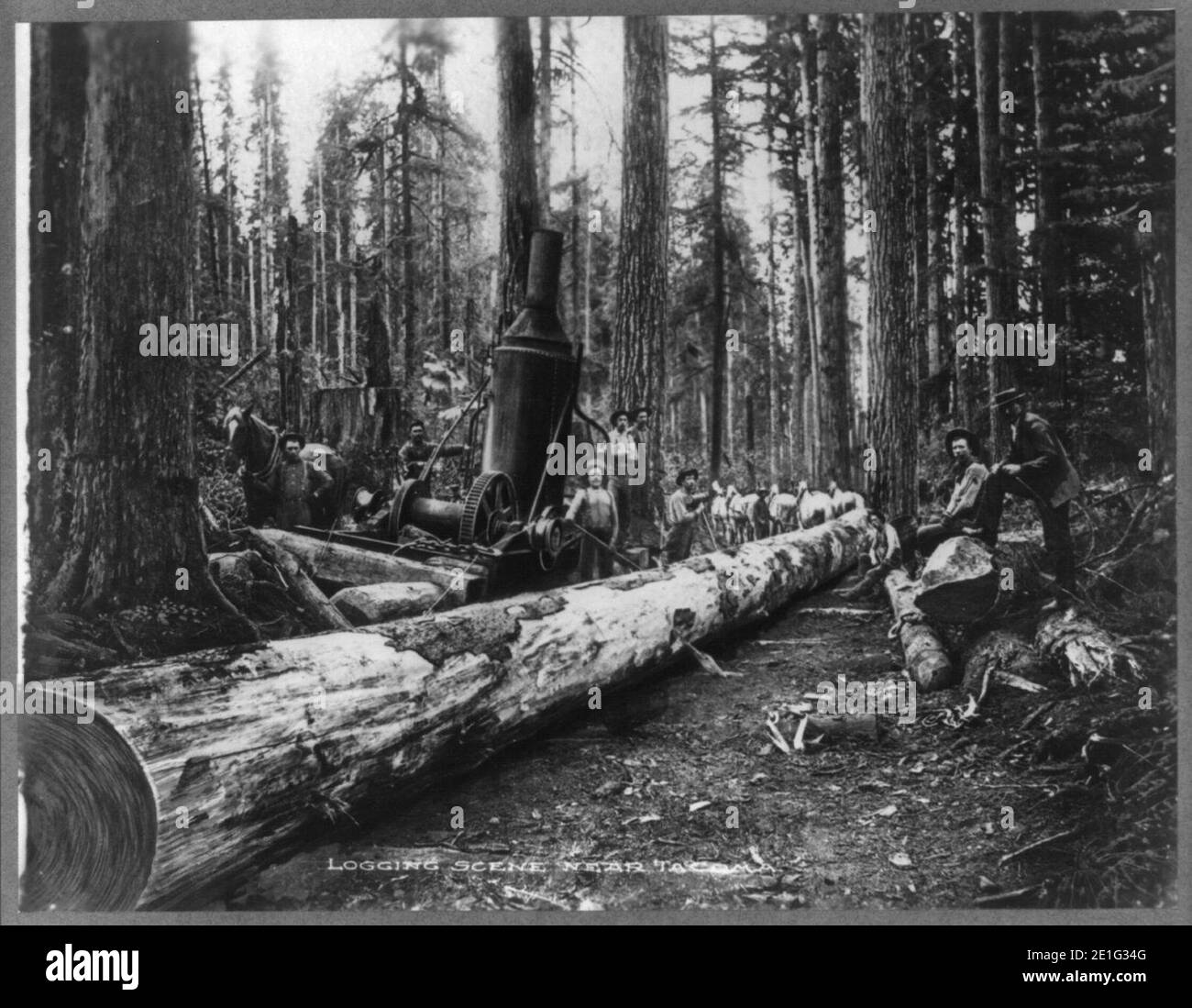Steam logging in фото 57