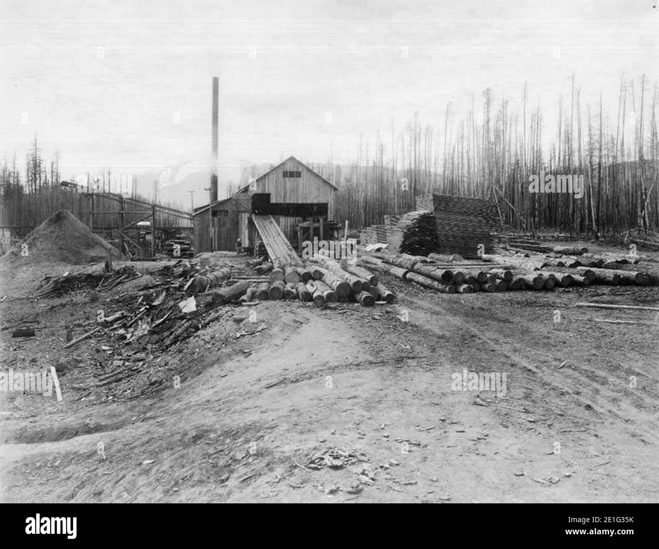 Logging operation showing lumber mill, Alaska, ca 1914 Stock Photo Alamy