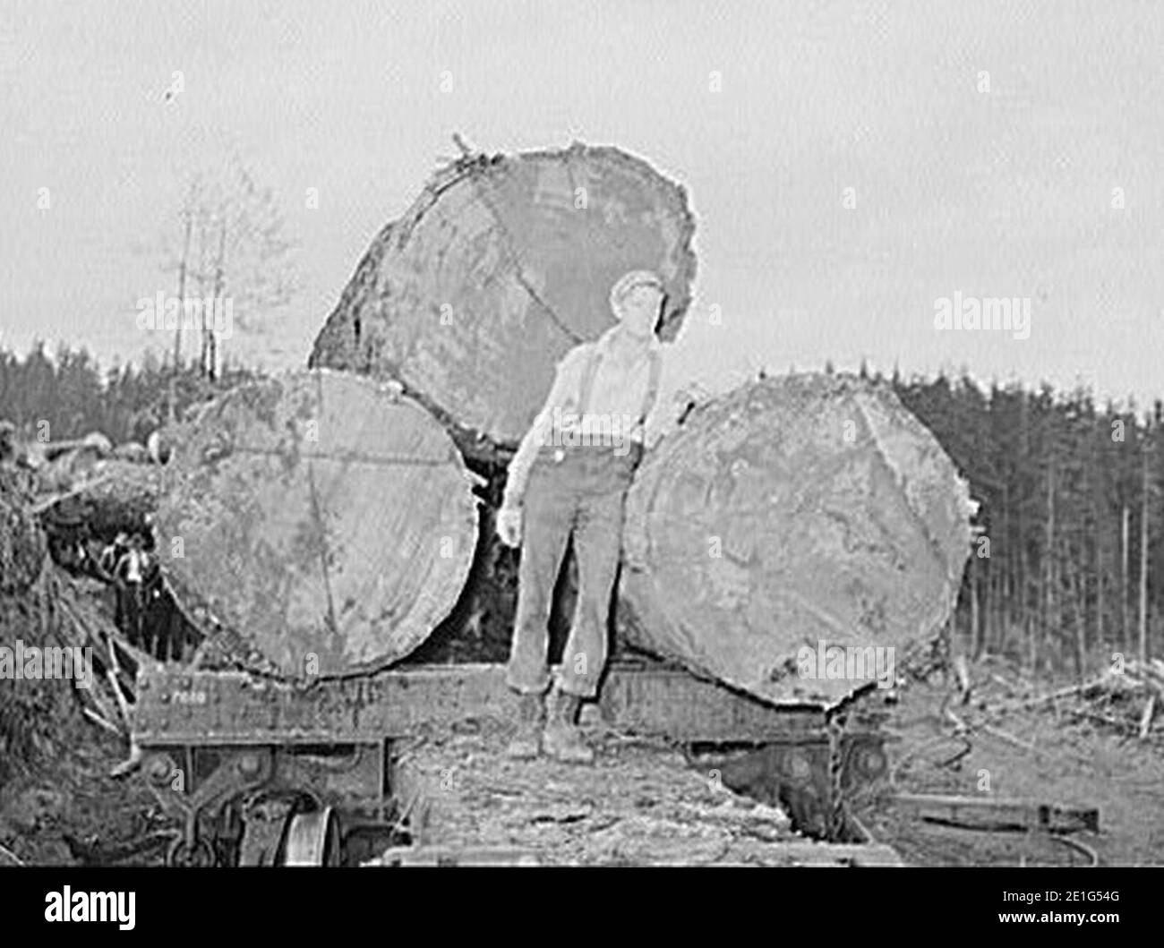 Long Bell Lumber Co 06 Stock Photo Alamy