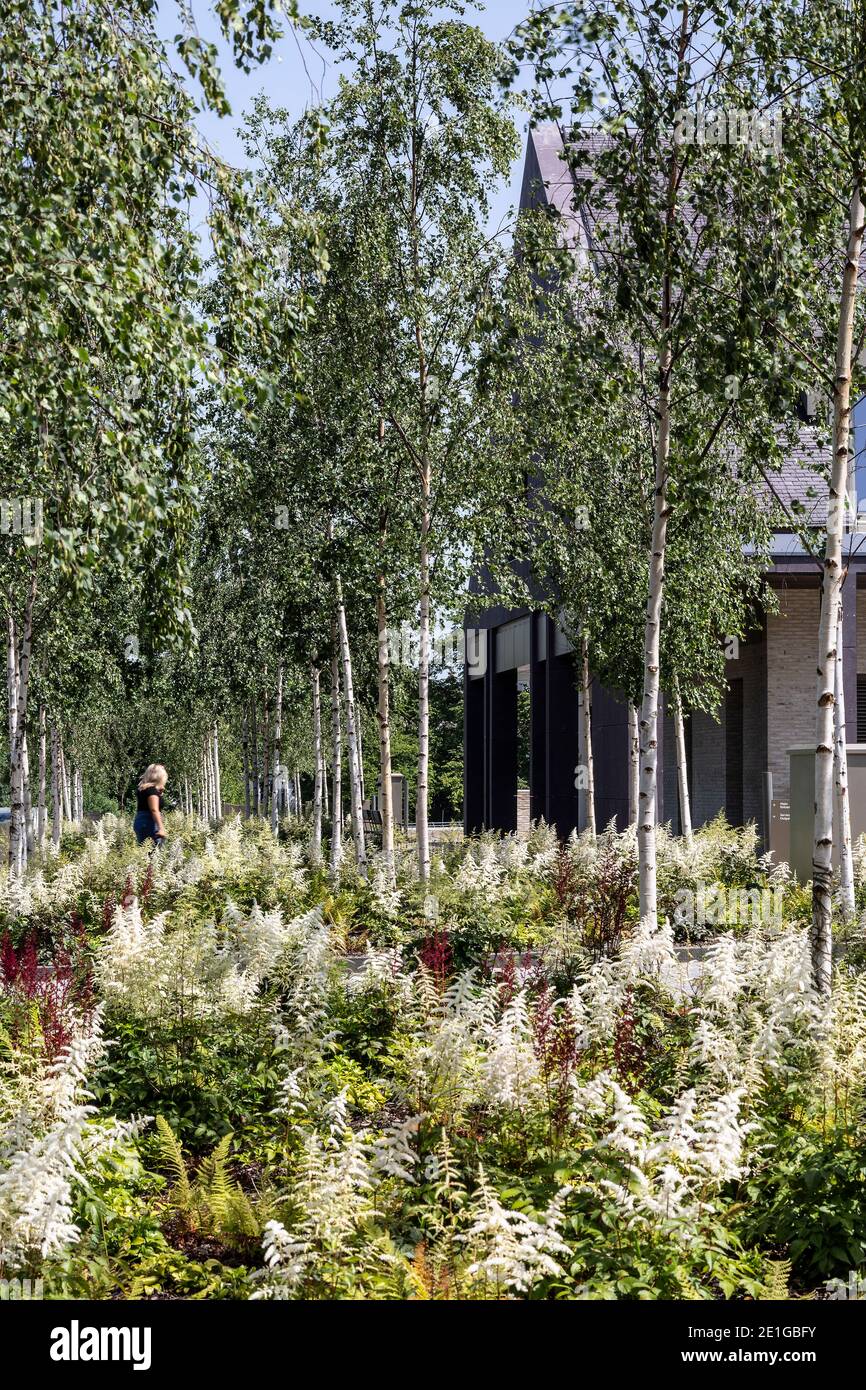Prince and Princess of Wales Hospice, Bellahouston Park, Glasgow, Scotland, UK.  A  View to entrance showing landscaping. Stock Photo