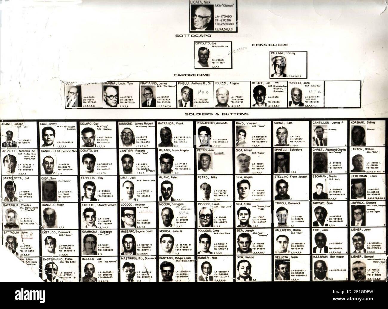 Philadelphia Crime Family Chart 2020