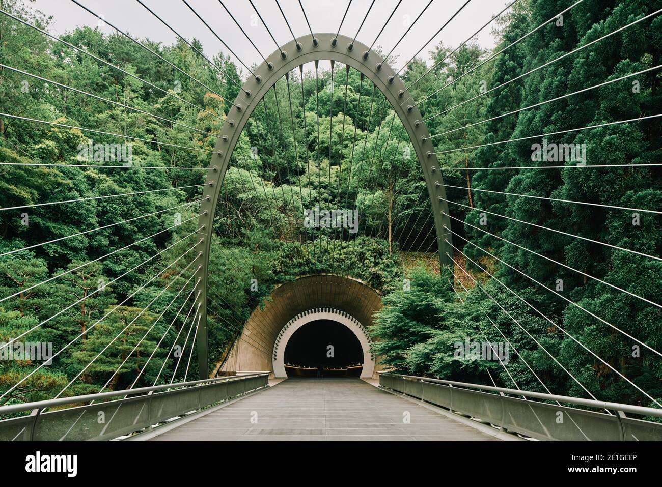 View through approach tunnel towards Miho Museum in Japan Stock Photo -  Alamy
