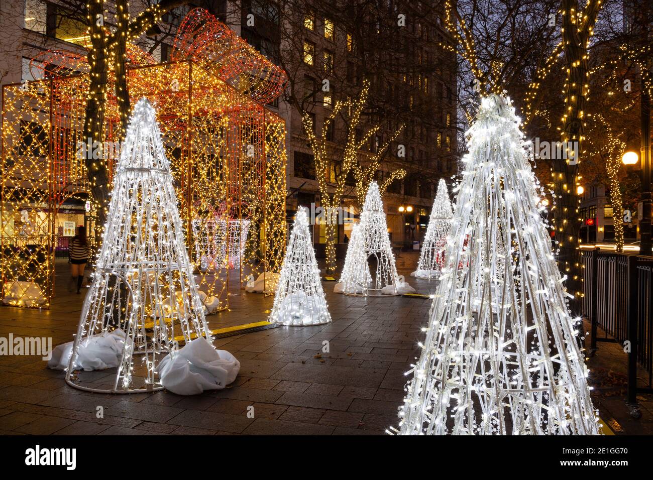 WA19024-00...WASHINGTON - Trees and a package installation at the Winter Light Display at Westlake Park in downtown Seattle. Stock Photo