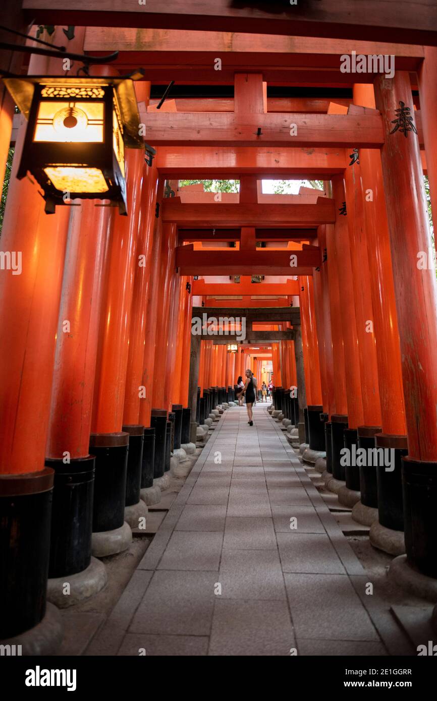 Hong Kong Japan 29 Sep 19 Senbon Torii Rows Of Torii Gates At Fushimi Inari Taisha Shinto Inari Shrine In Fushimi Ku Kyoto Kyoto Prefecture Ja Stock Photo Alamy
