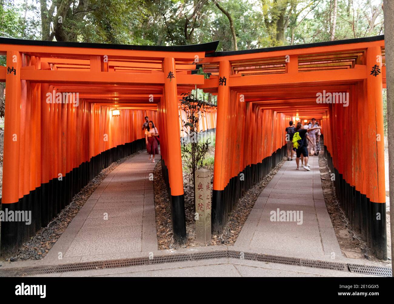 Hong Kong Japan 29 Sep 19 Senbon Torii Rows Of Torii Gates At Fushimi Inari Taisha Shinto Inari Shrine In Fushimi Ku Kyoto Kyoto Prefecture Ja Stock Photo Alamy Hong Kong Japan 29 Sep 19 Senbon Torii Rows Of Torii Gates At Fushimi Inari Taisha Shinto Inari Shrine In Fushimi Ku Kyoto Kyoto Prefecture Ja Stock Photo Alamy
