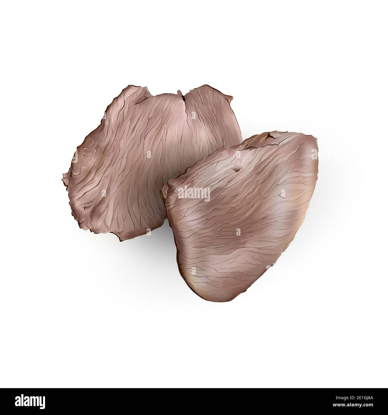 Boiled meat pieces on a white background Stock Photo - Alamy