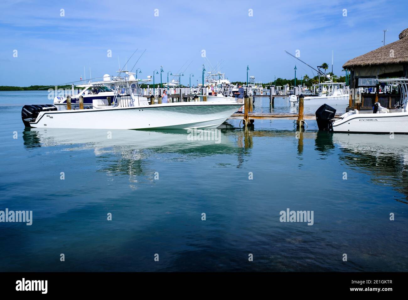 Boat Dock in Islamorada Key in Florida at the Islamorada Fish Company