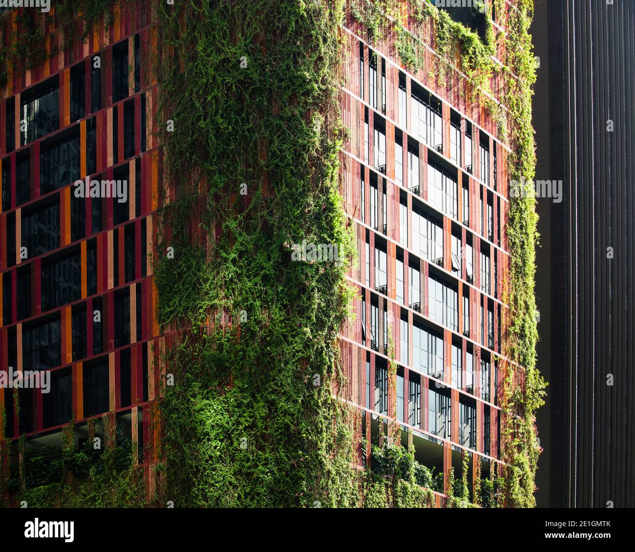 Exterior view of the green facade of the Oasia Hotel Downtown in Singapore's CBD. Stock Photo