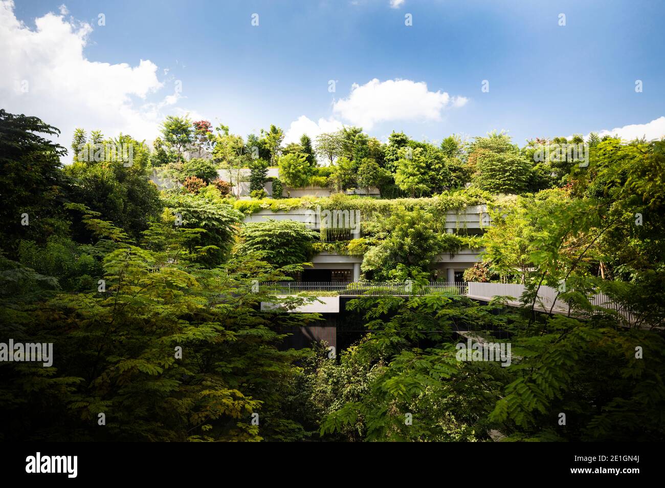 Exterior view of the mixed-use Kampung Admiralty development amidst lush gardens in Singapore. Stock Photo