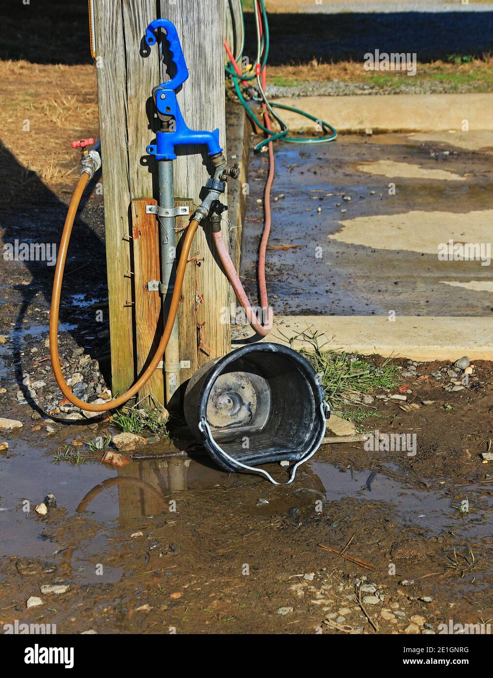 Hoses, spigots, and a useless bucket. Stock Photo