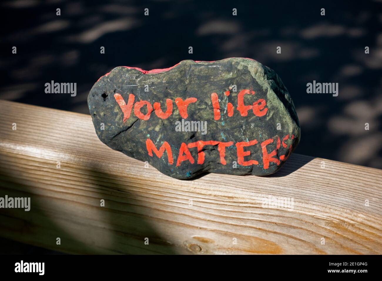 Found a painted rock sitting on a trail bench exclaiming 'Your Life Matters'. Minneapolis Minnesota MN USA Stock Photo