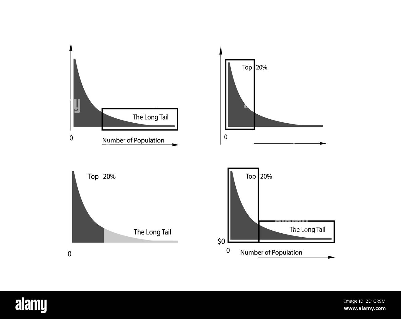 Illustration of Set of Fat Tailed and Long Tailed Distributions Chart Label Isolated on White Background. Stock Photo