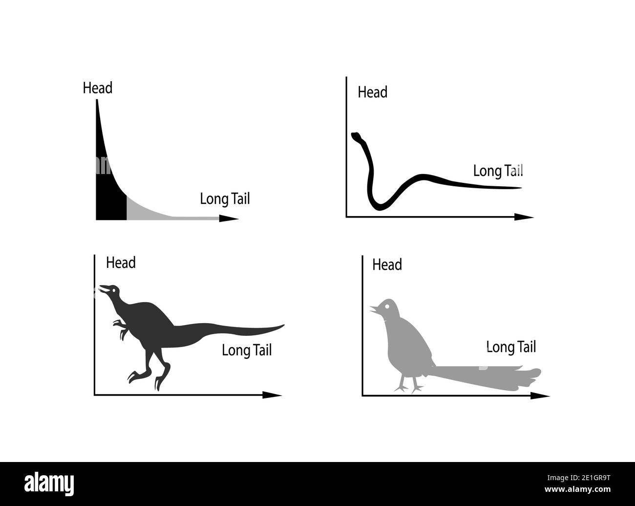 Charts and Graphs, Illustration Animal Cartoon of Fat Tailed and Long