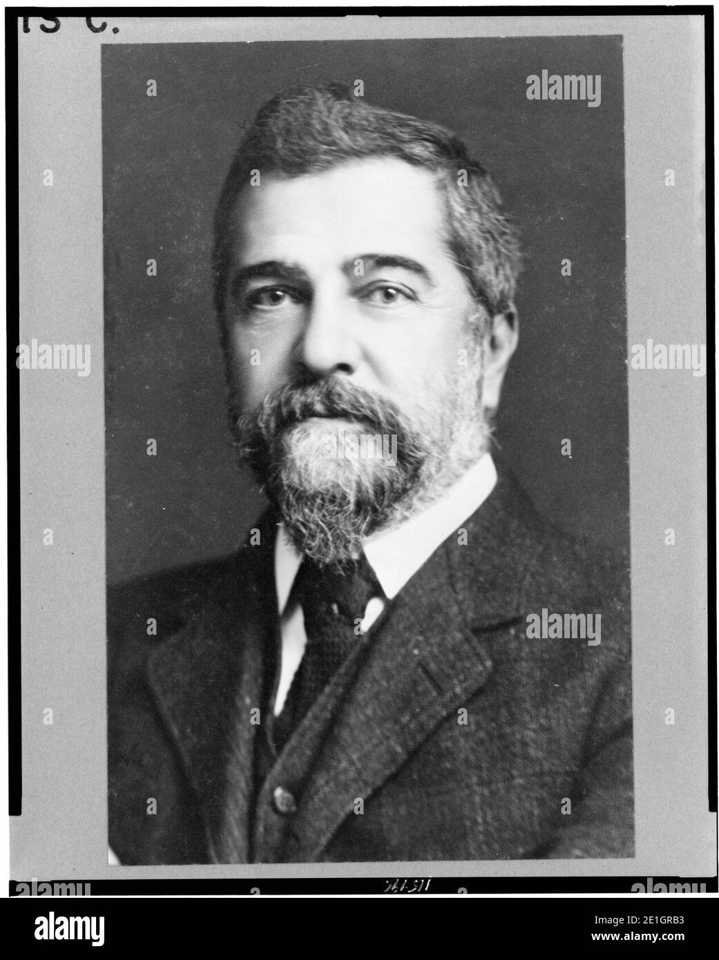 Louis C. Tiffany, head-and-shoulders portrait, facing front Stock Photo