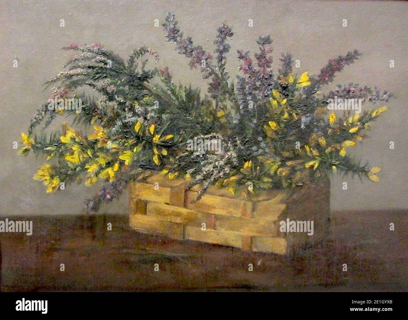 Louisa Mary Bancroft Heather and Gorse Stock Photo Alamy