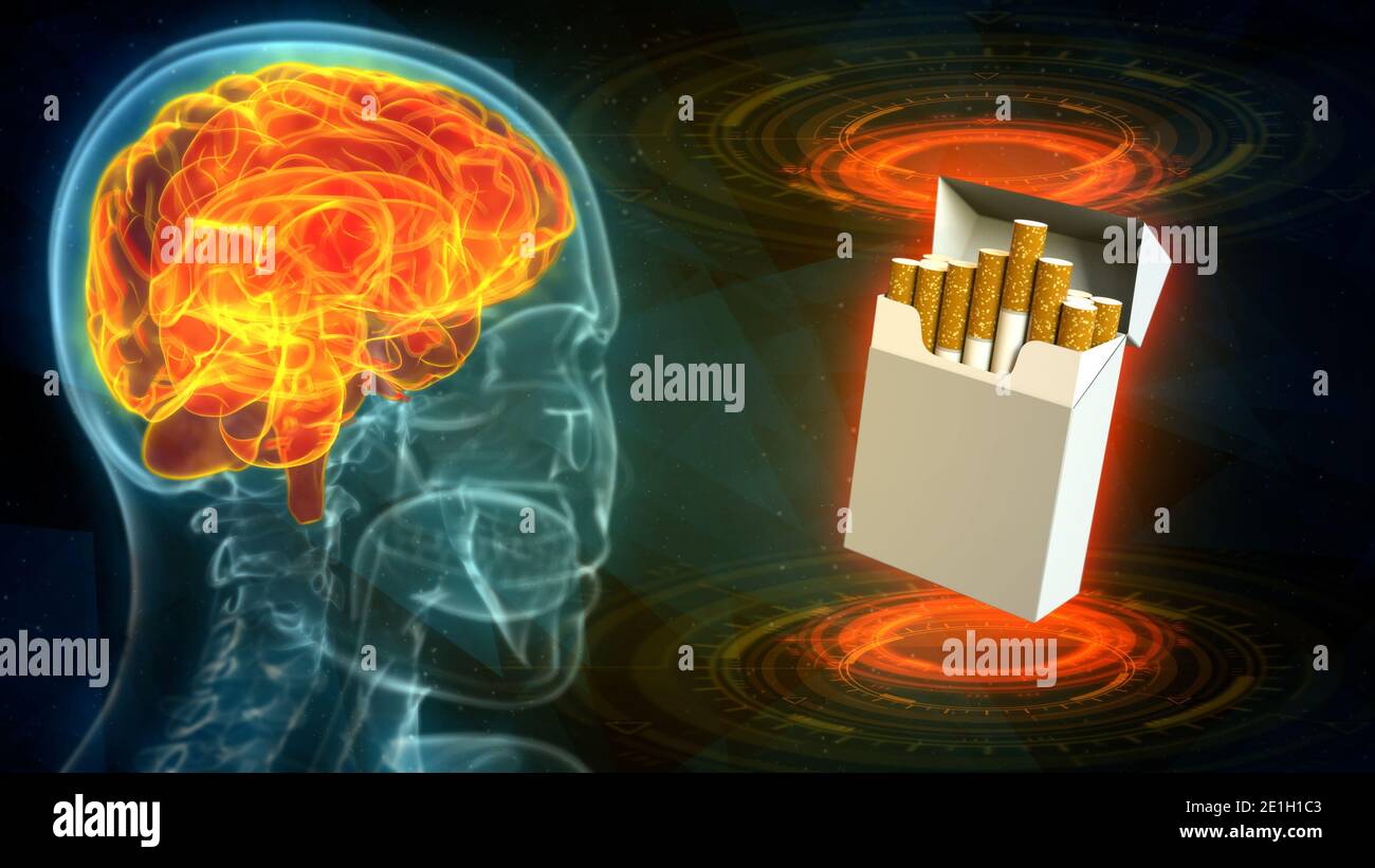 Medical 3D illustration xray human head image with highlighted brain