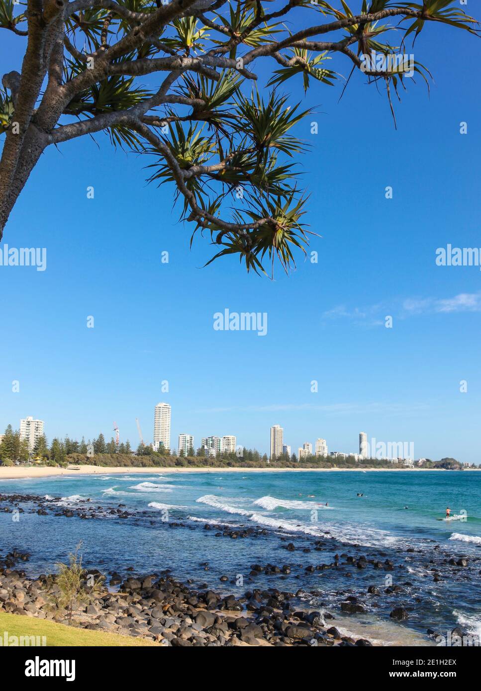Surfers Paradise framed through a pandanas tree from Burleigh Heads on the Queensland Coast. This area is a very popular tourist destination for its p Stock Photo