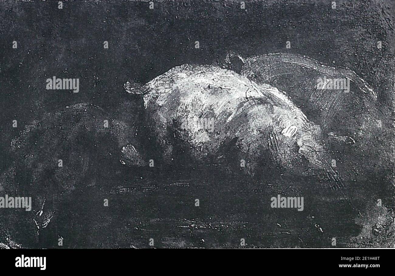 Lovis Corinth BC 65 Fressende Schweine sw. Stock Photo