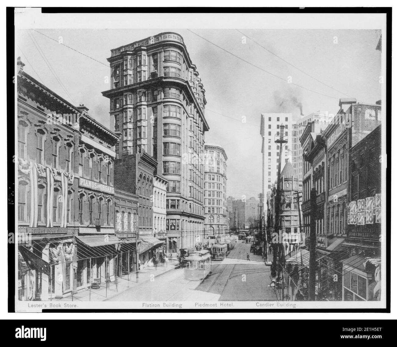 Peachtree Cut Out Stock Images & Pictures Alamy