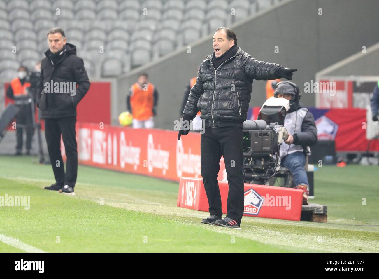 Stephane Moulin coach Angers during the French championship Ligue 1 football match between Lille OSC and Angers SCO on January / LM Stock Photo