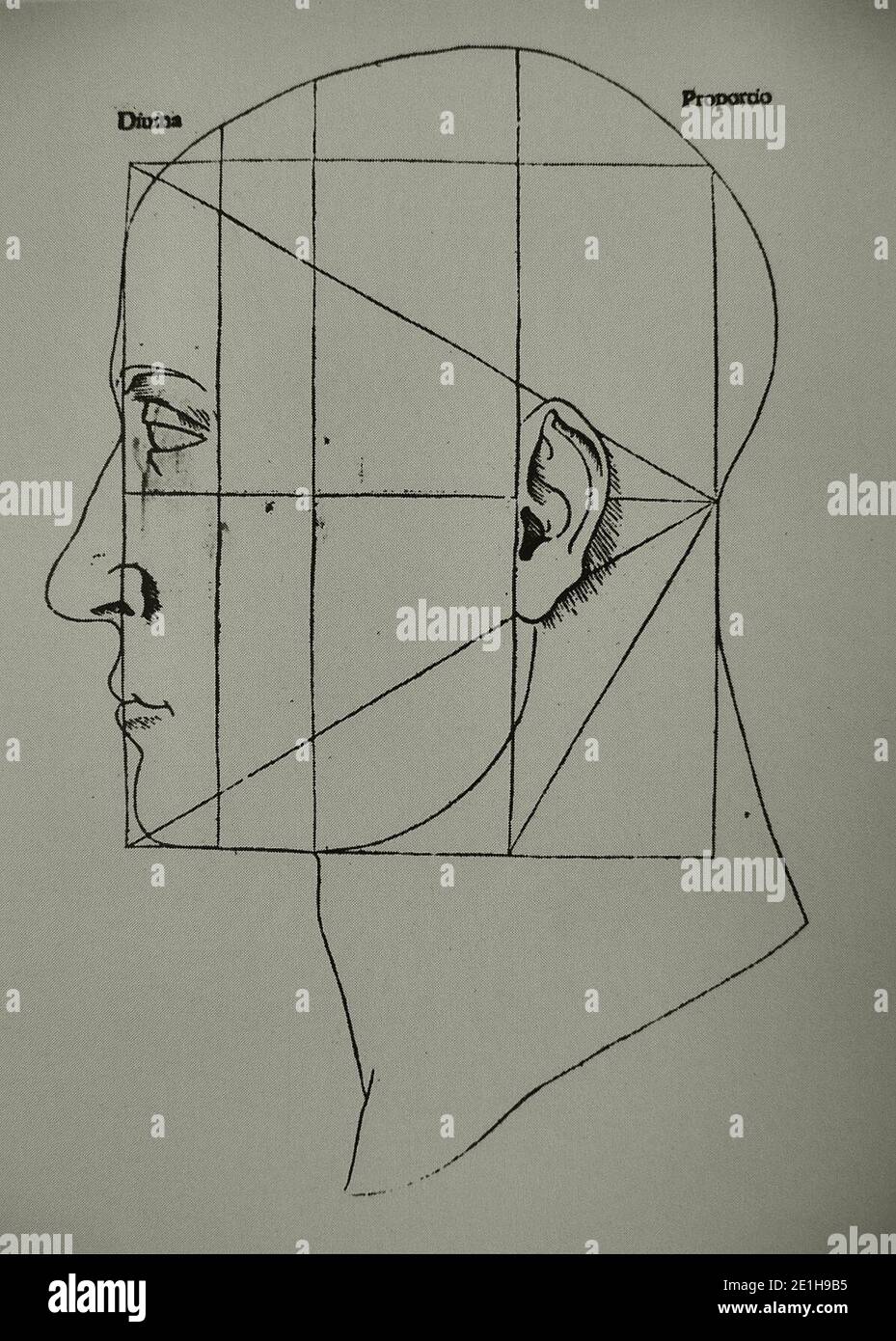Luca Pacioli Stock Photo - Alamy