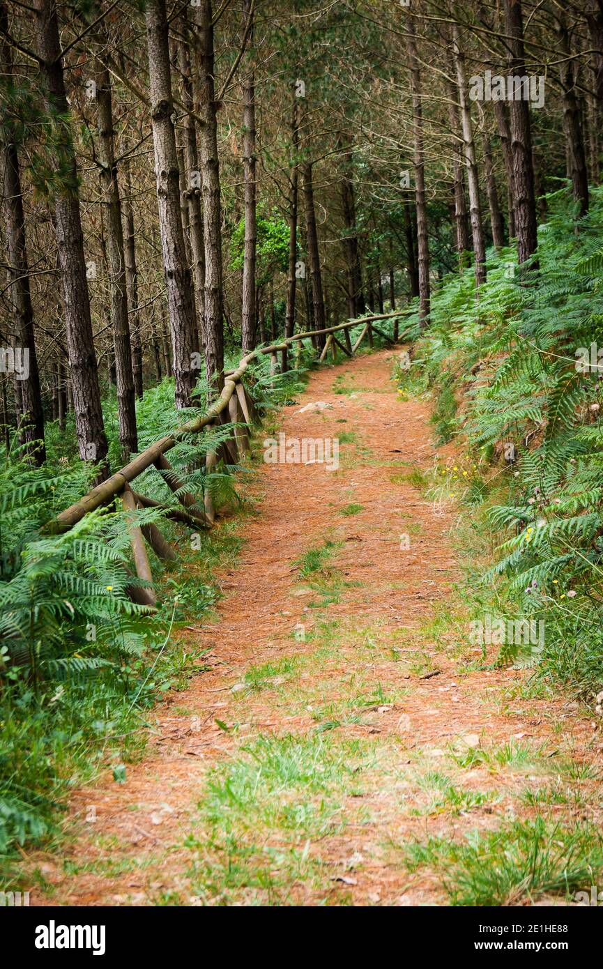 Beautiful path on the Hoces del Esva route in Asturias, Spain.A photo that I wish helps to disconnect from daily stress and invite us to delve a littl Stock Photo
